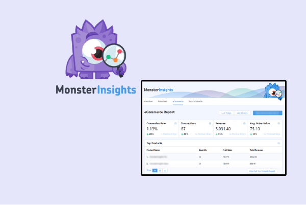 MonsterInsights